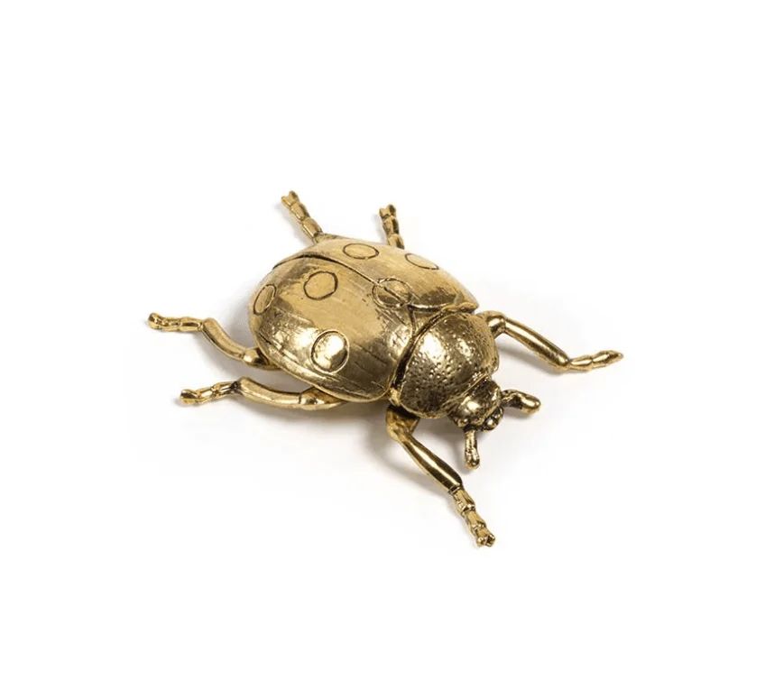 Gold Ladybug | Megan Molten