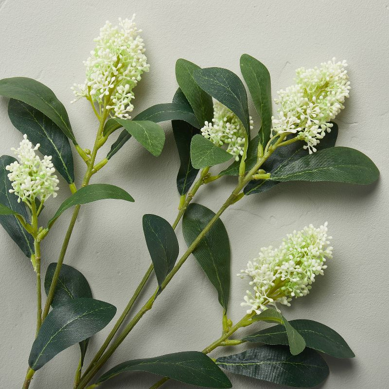 32" Faux Seeded Skimmia Stem - Hearth & Hand™ with Magnolia | Target