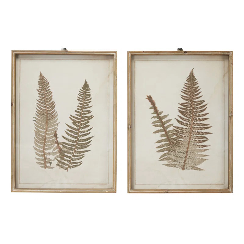Large Vintage Fern Illustrations - 2 Piece Picture Frame Graphic Art Set on Wood | Wayfair North America