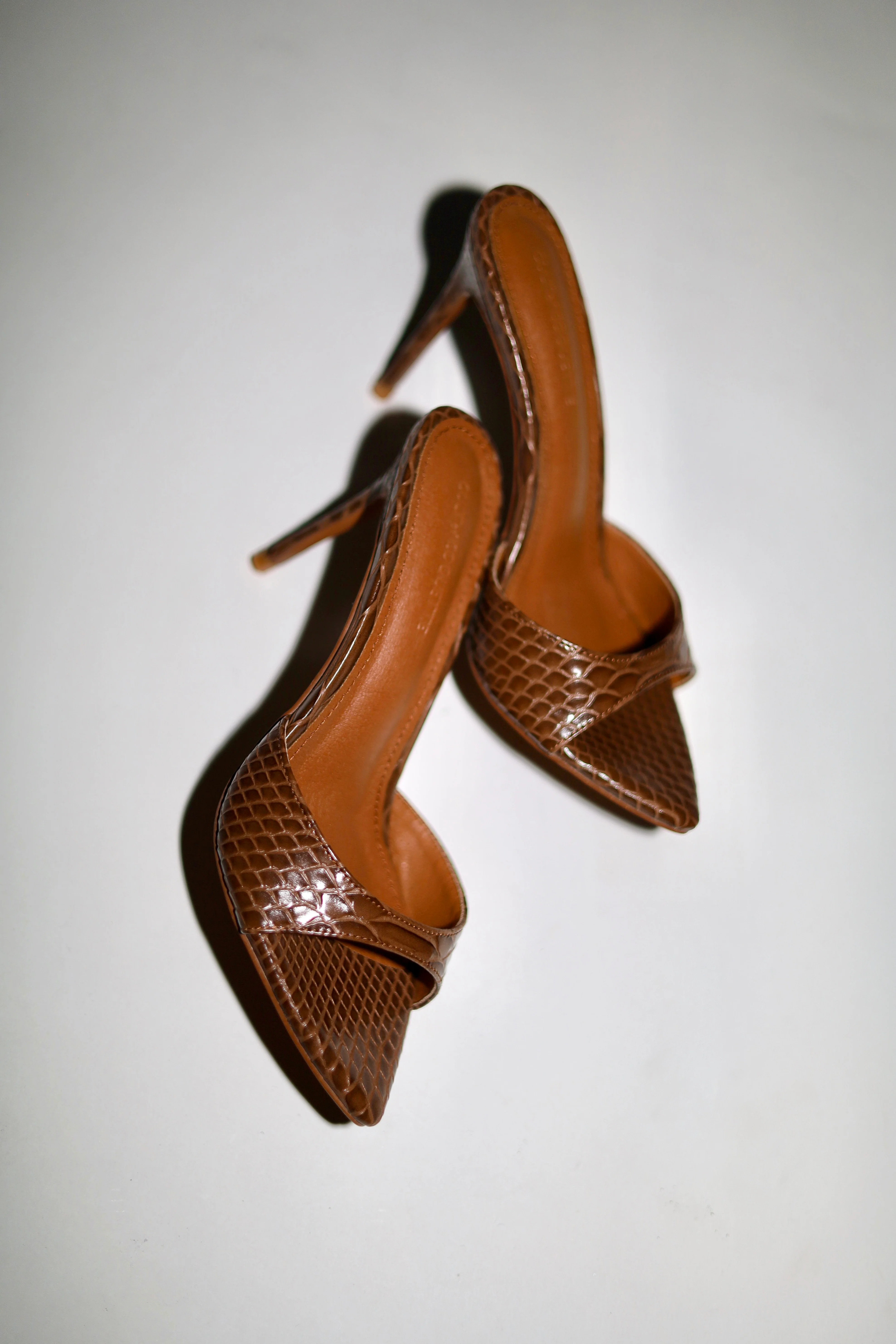 Gia Brown Reptile Mules 80 mm | CULT OF COQUETTE