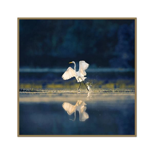 Heron Water Dance | Urban Garden Prints