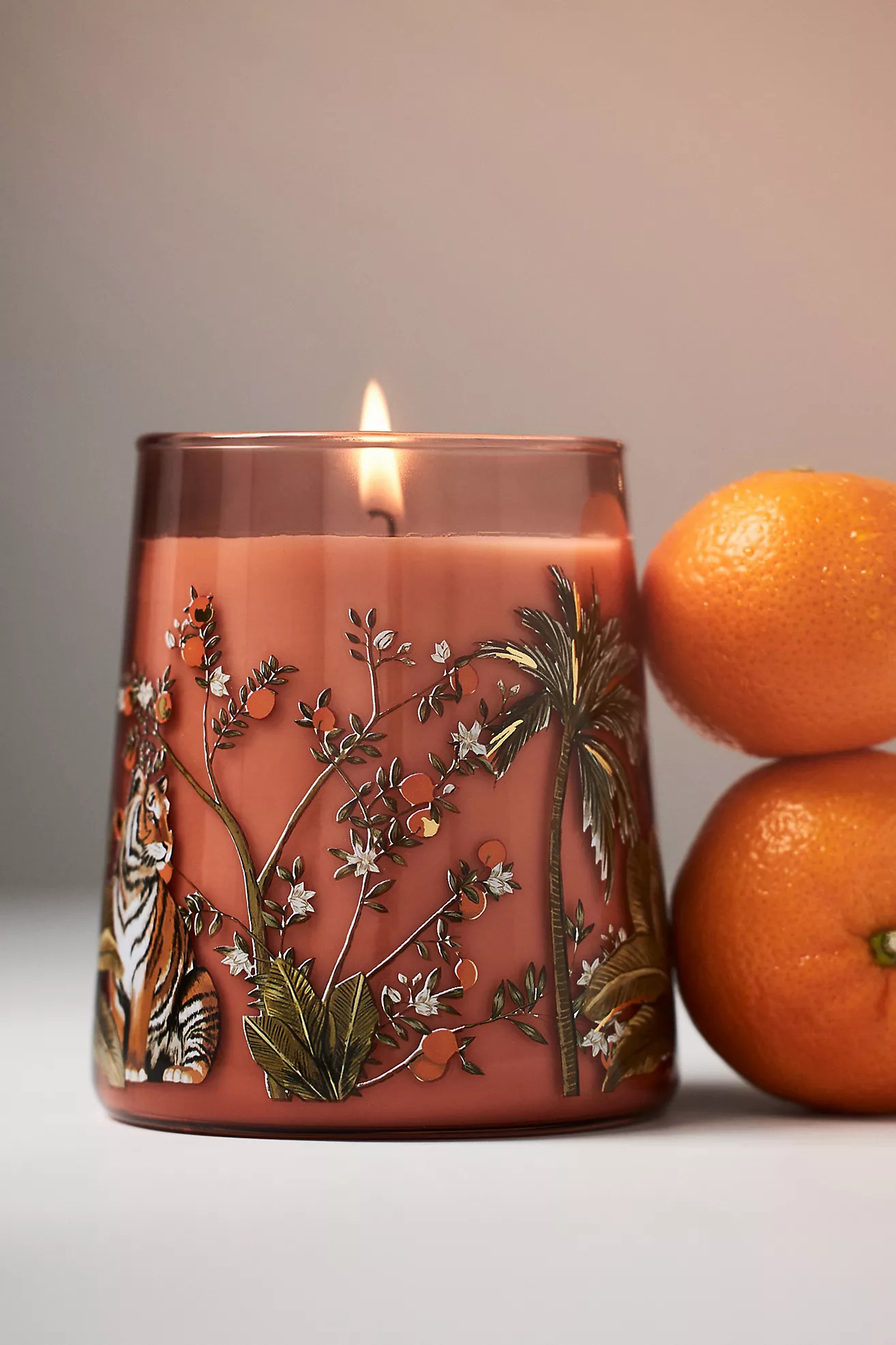 Getaway Fruity Clementine & Jasmine Boxed Candle | Anthropologie (US)