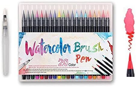 Watercolor Brush Pens Set - Premium Soft Flexible Dual Tips Coloring Brush Pen & Fineliner Color ... | Amazon (US)