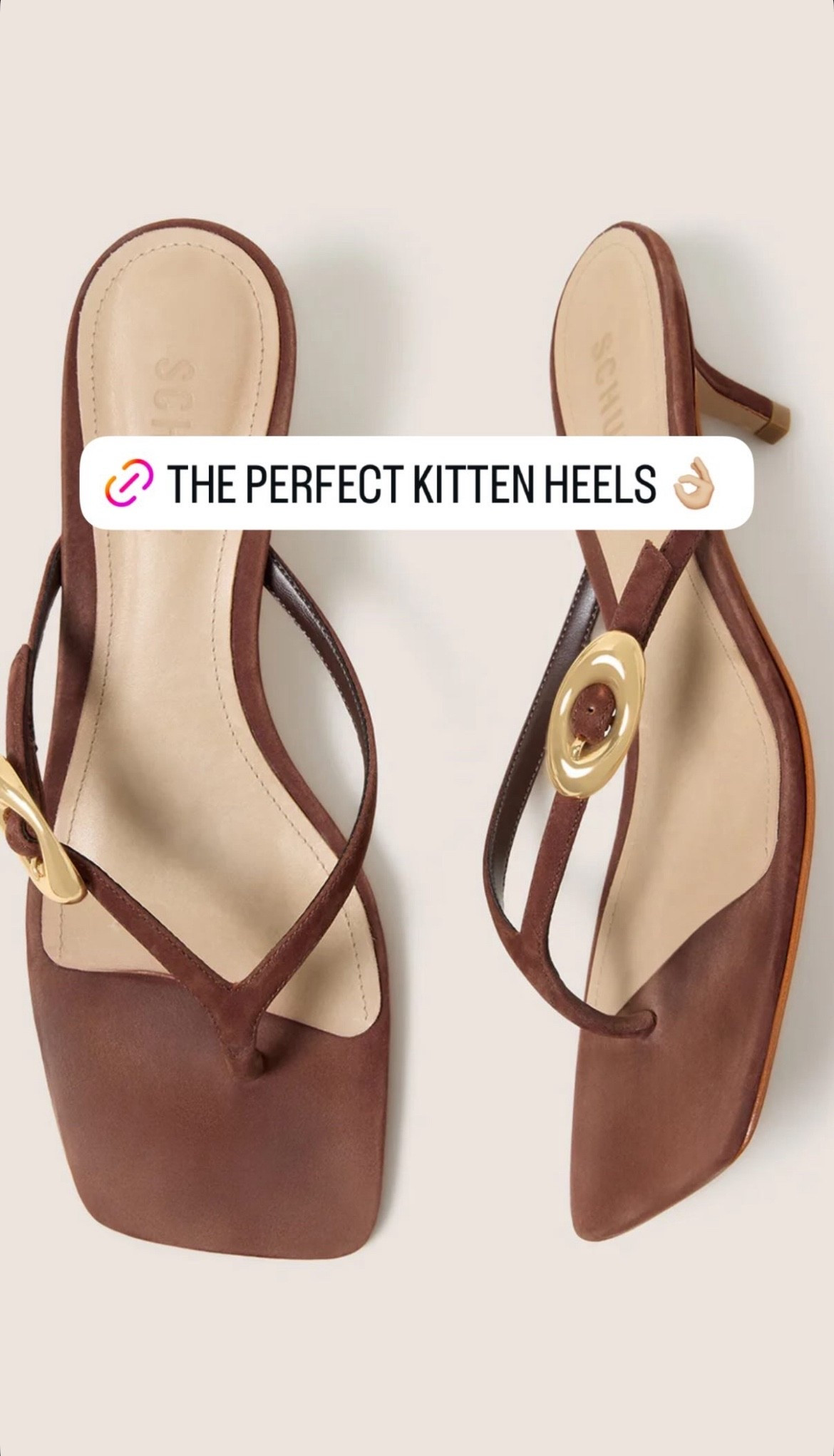 The chocolate brown kitten heels are stunning! Love the gold hardware on the sides. 

#LTKgrwm #LTKdayinmylife #LTKootd
