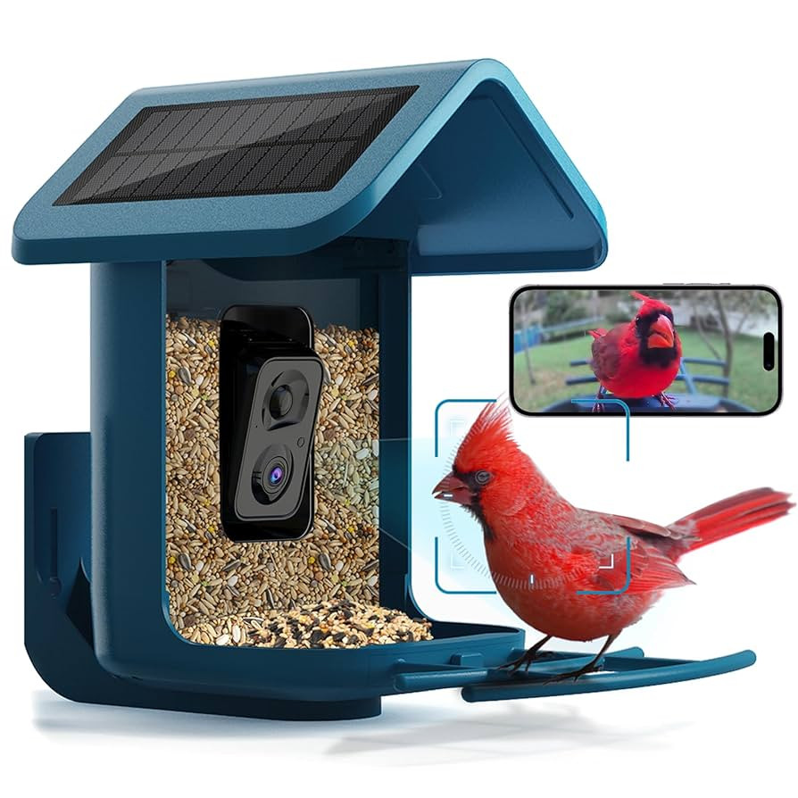 Bird Feeder with Camera Solar Powered : Smart Camera Bird Feeder 2K Live Feed Cam for Outdoor Bac... | Amazon (US)