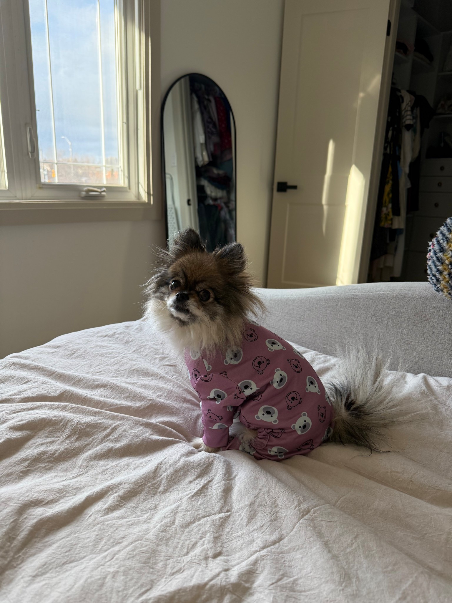 My little Pomchi Toto and her new pj’s outfit! These dog pajama’s are so cute on my little dog and keep her nice and warm for these cold winter months

#LTKfamily #LTKhome #LTKpets