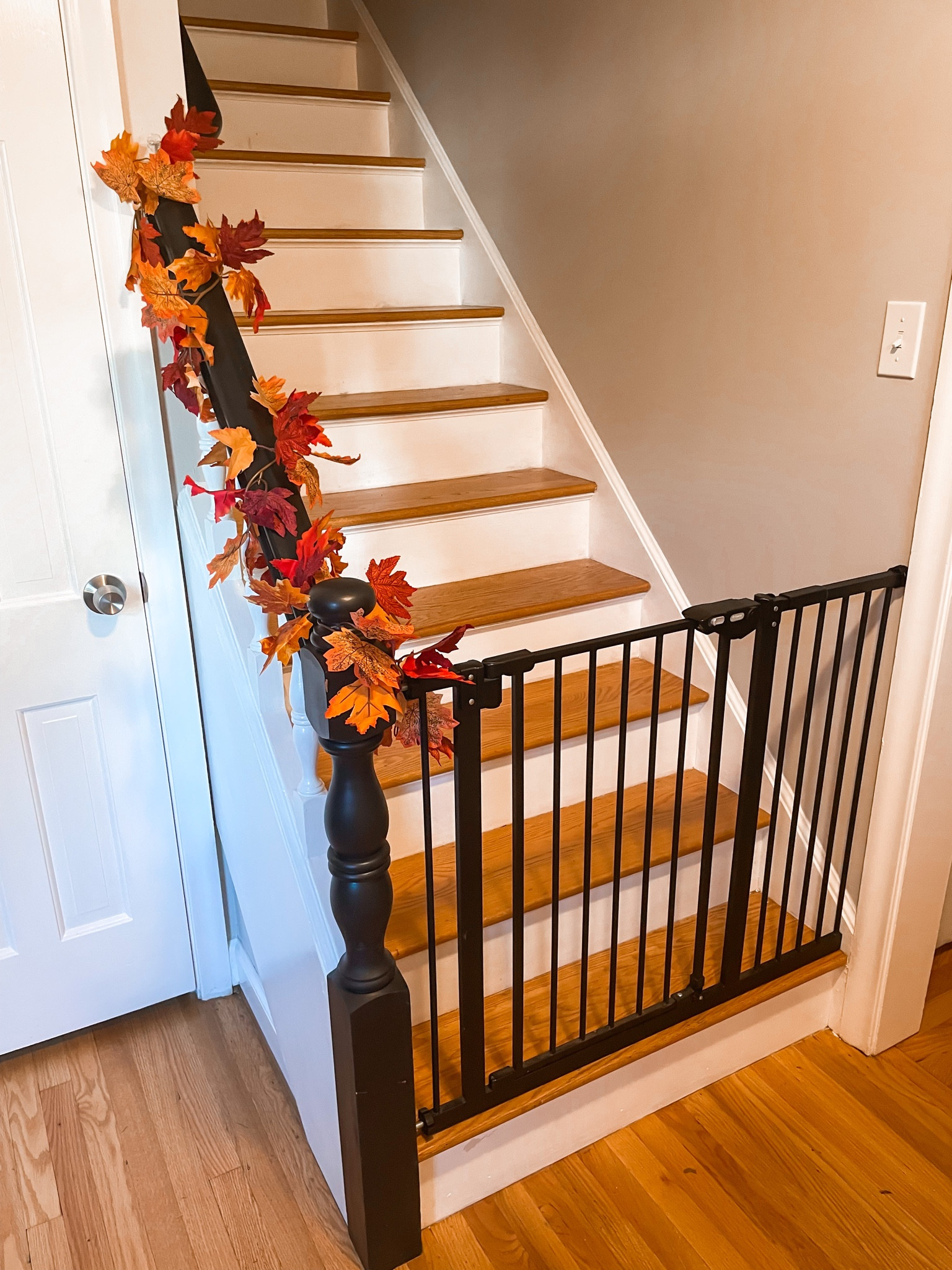 Fall garland on banister with black gate. (Poor Gretzky can’t walk up the stairs while in recovery from getting neutered) 🍁🍂

#LTKhome #LTKSeasonal #LTKHoliday