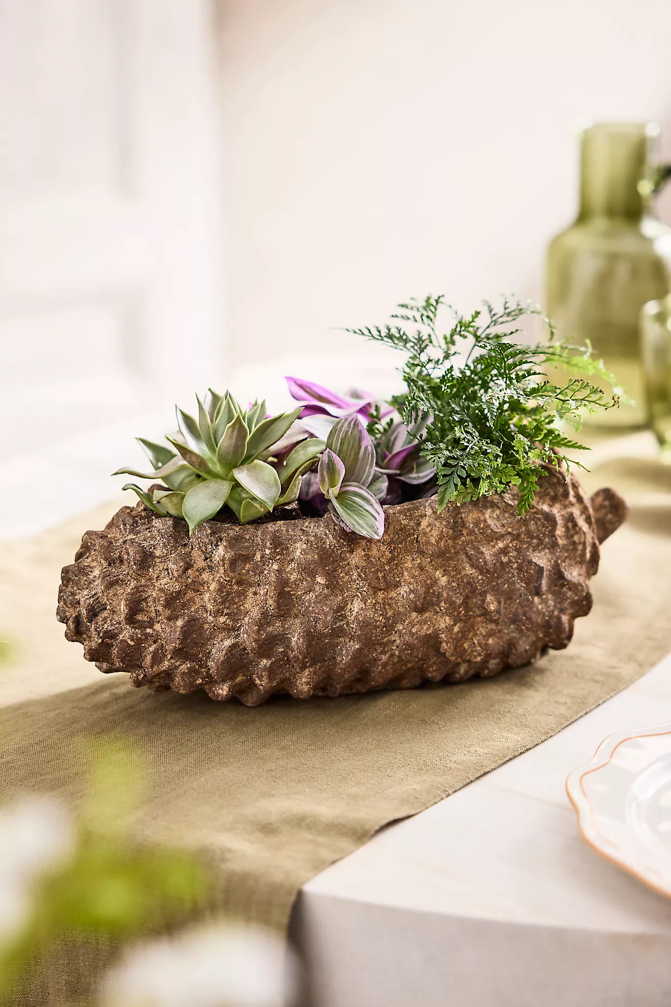 Concrete Pinecone Planter, Oblong | Anthropologie (US)