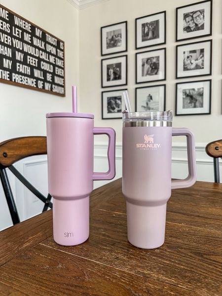 Amazon find - simple modern tumbler 

Stanley quencher look for less // travel cup for summer // insulated cup with straw // travel tumbler under $40 

#LTKSeasonal #LTKHome #LTKFamily