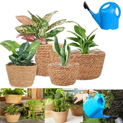 4 Pcs Premium Seagrass Planter Basket With Plastic Lining And 1Pcs Plant Watering Can Natural Stylish Planter Baskets Indoor Outdoor Plants Woven Wic | Wayfair North America