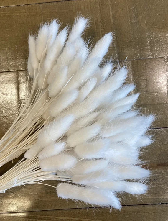 120 Stems White Bunny Tails  Rabbit Tails  Dyed Bunny Tails - Etsy | Etsy (US)