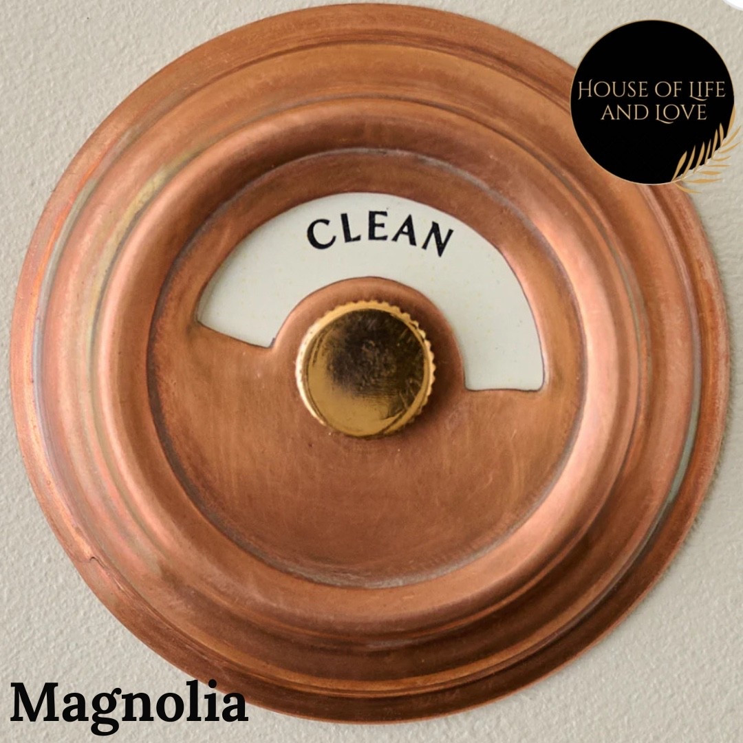 Clean or dirty for dishwasher

#LTKHome #LTKKids #LTKFamily