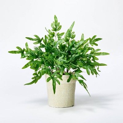 Medium Ribbon Fern Leaf in Pot - Threshold™ designed with Studio McGee | Target