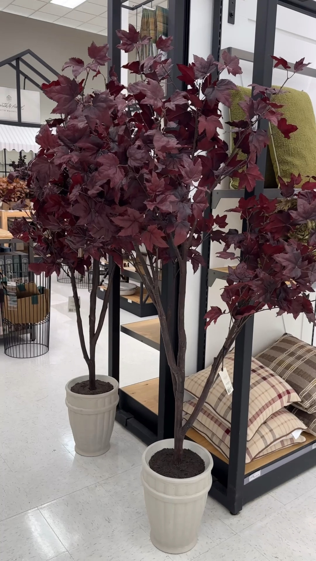 This Hearth and Hand maple tree stopped me in my tracks at Target- it’s soo pretty! 

This fall collection is marked down to clearance now too! 

#LTKSeasonal #LTKHome #LTKHalloween