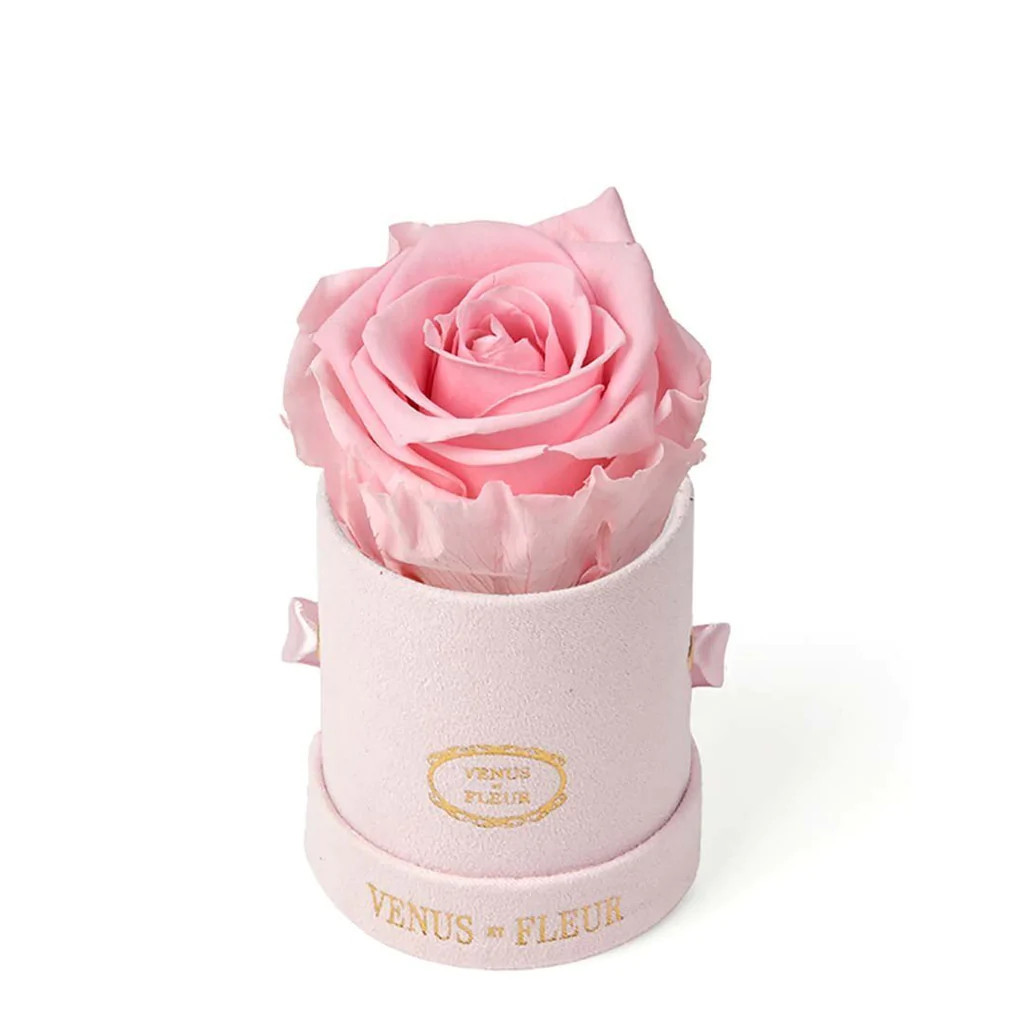Le Mini™ Round - Blush Suede with Eternity Roses | Venus ET Fleur
