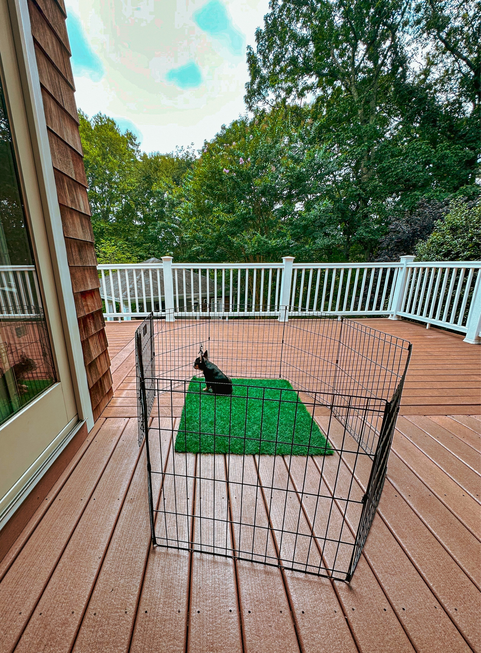 potty training in progress

#LTKhome #LTKunder50 #LTKFind