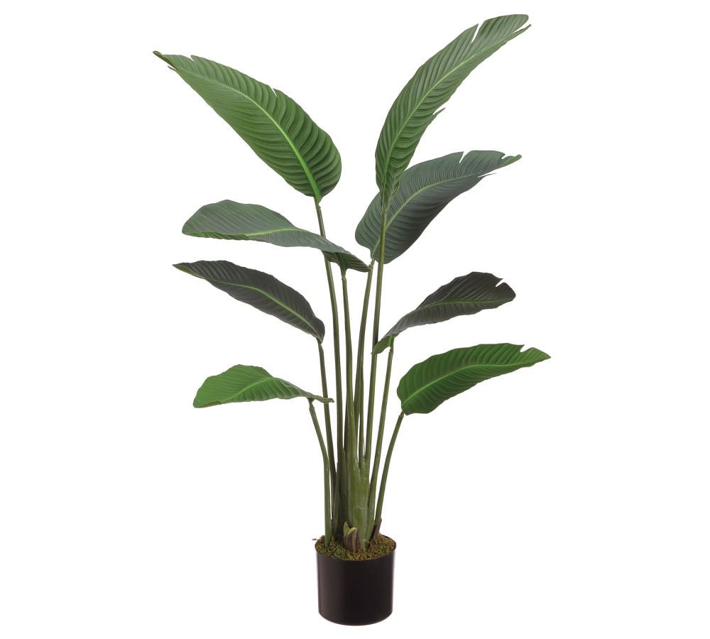 Faux Bird Of Paradise Plant With 12 Leaves, 6.25' | Pottery Barn (US)