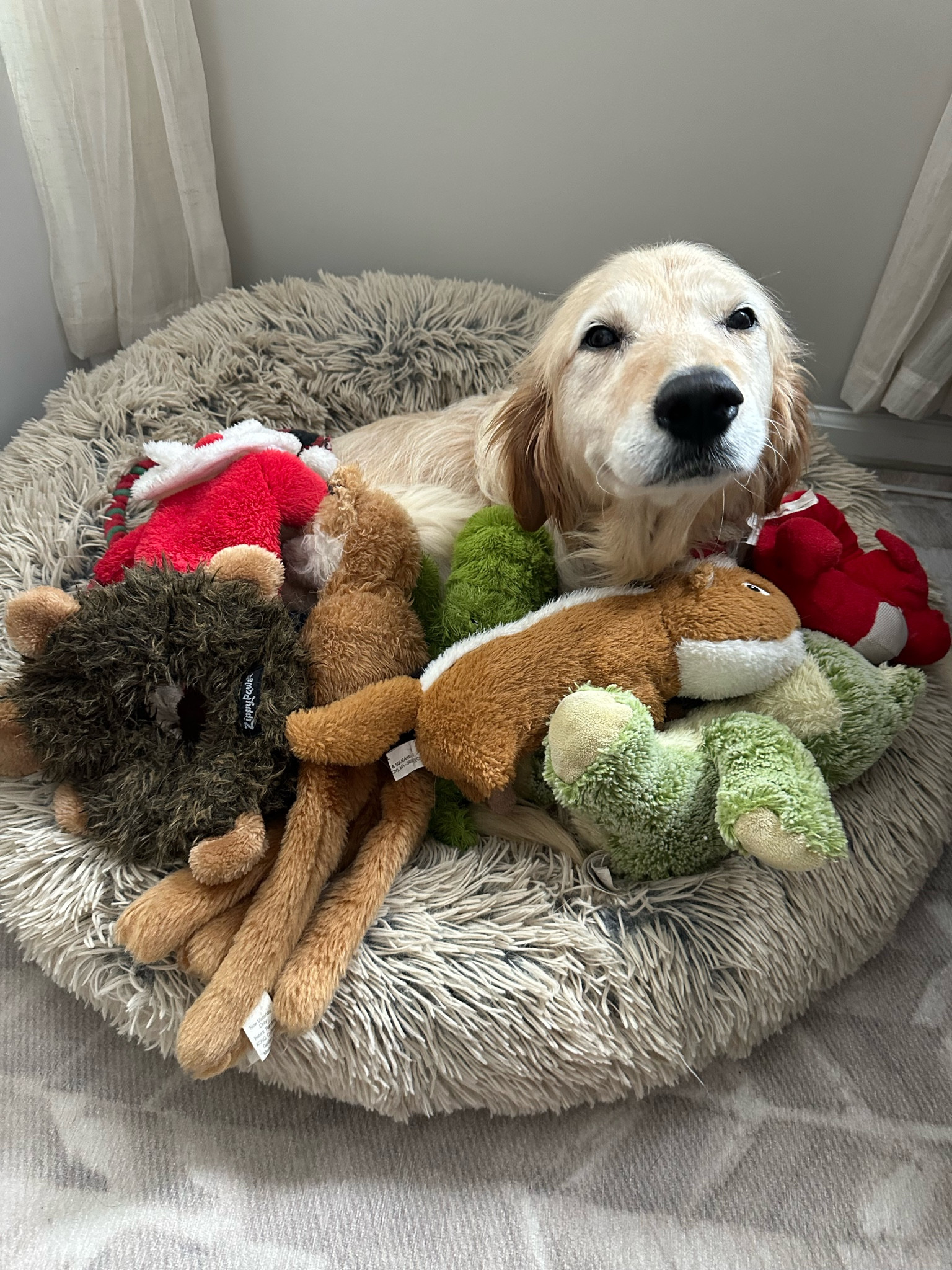 Our favorite beds!! We have SO many of these throughout the house. This is a size medium and we also have an XL which can easily fit 2 or even 3 dogs  

#LTKhome #LTKGiftGuide #LTKfindsunder50