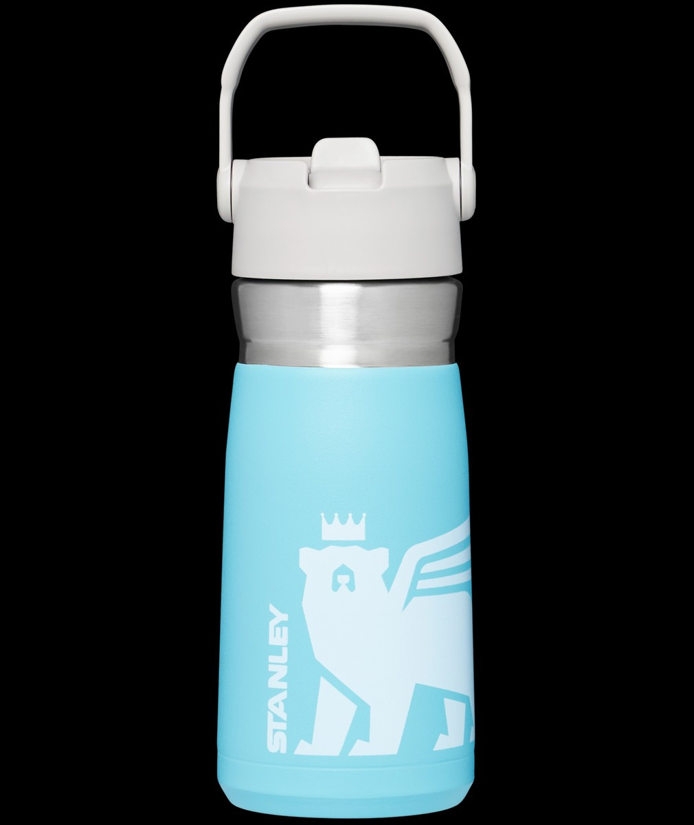The Wild Imagination IceFlow™ Flip Straw Water Bottle | 17 OZ | Stanley PMI US
