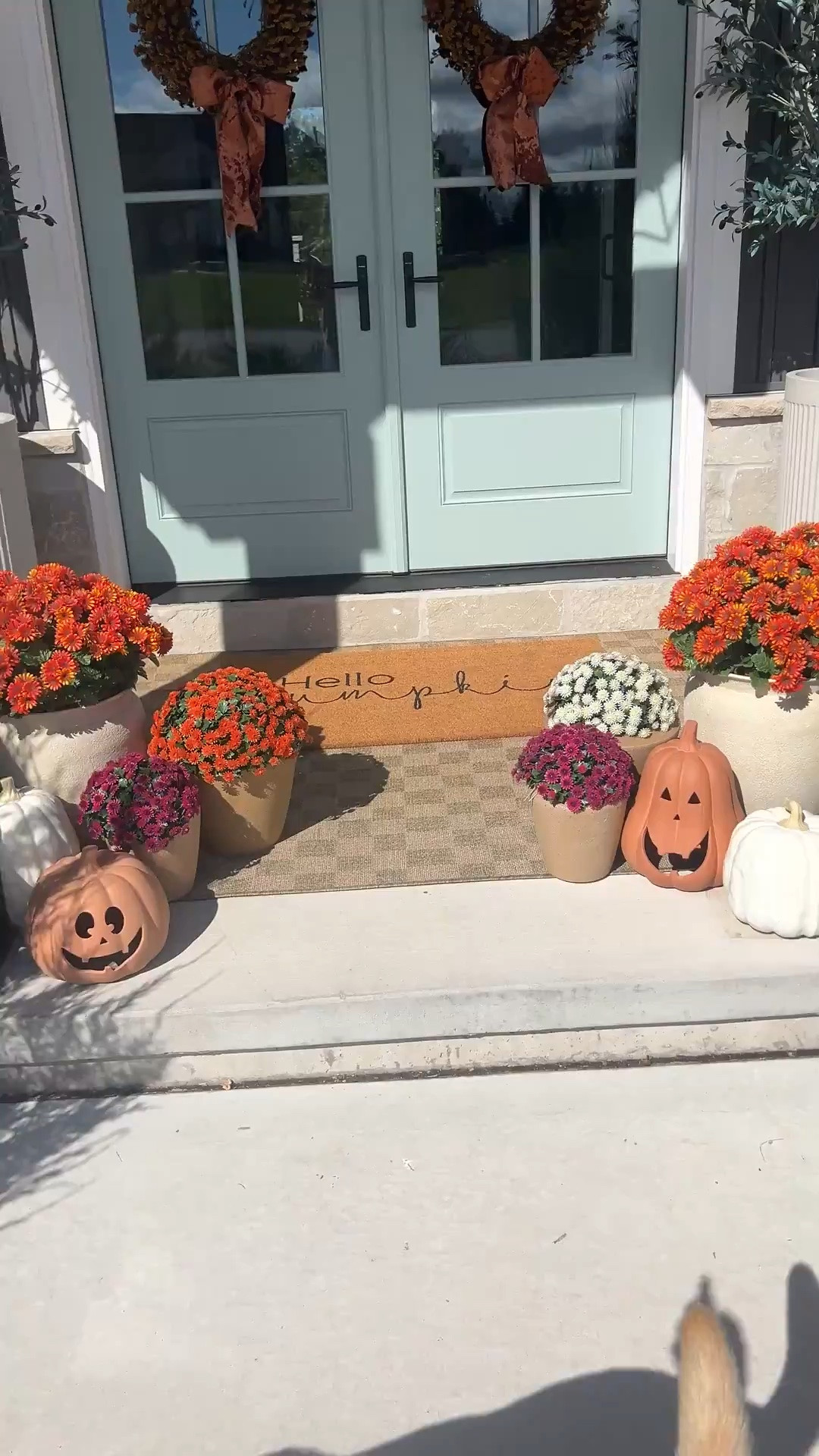 Love these fall faux mums!!!

#LTKSaleAlert #LTKHome #LTKSeasonal