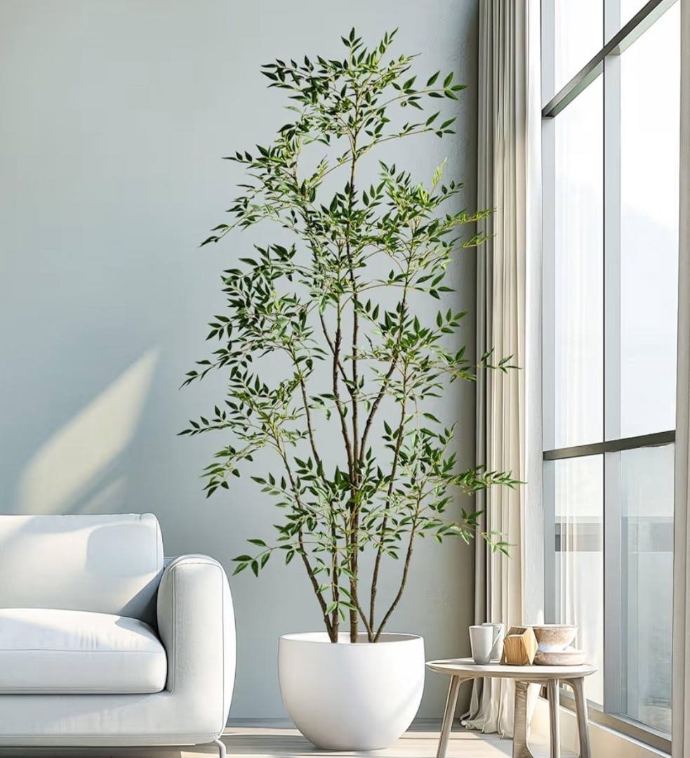Faux tree! Great look and price. 7.2 ft



#LTKHome #LTKFindsUnder100