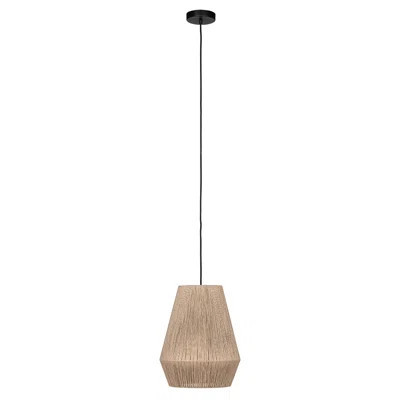Risanna 1 - Light Single Cone Pendant | Wayfair Professional