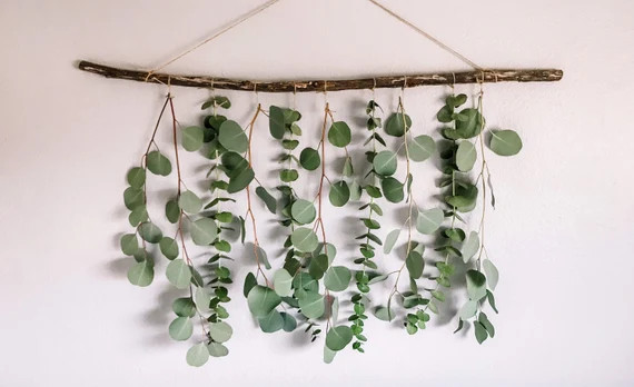 Eucalyptus Wall Hanging, Eucalyptus, Eucalyptus Hanging, Boho Wall Hanging, Boho, Eucalyptus Back... | Etsy (US)