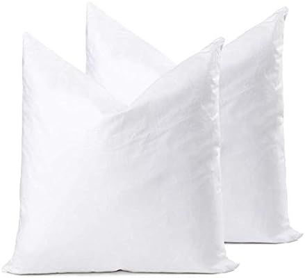ROSMARUS Down Feather Throw Pillow Inserts 20x20 Set of 2 Square Form Sham Stuffer Premium Hypoal... | Amazon (US)