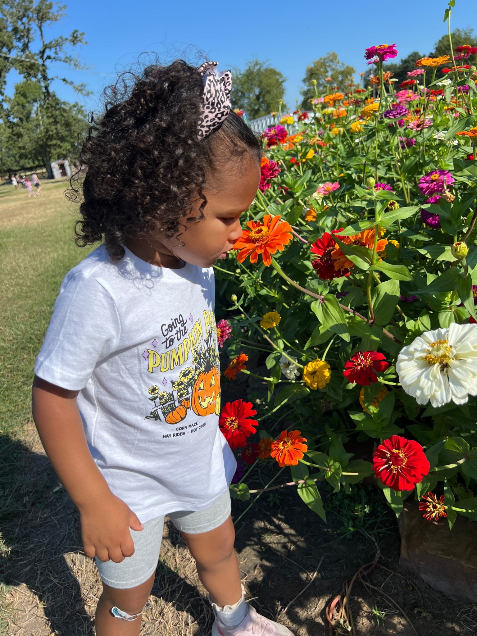 Toddler pumpkin patch shirt 