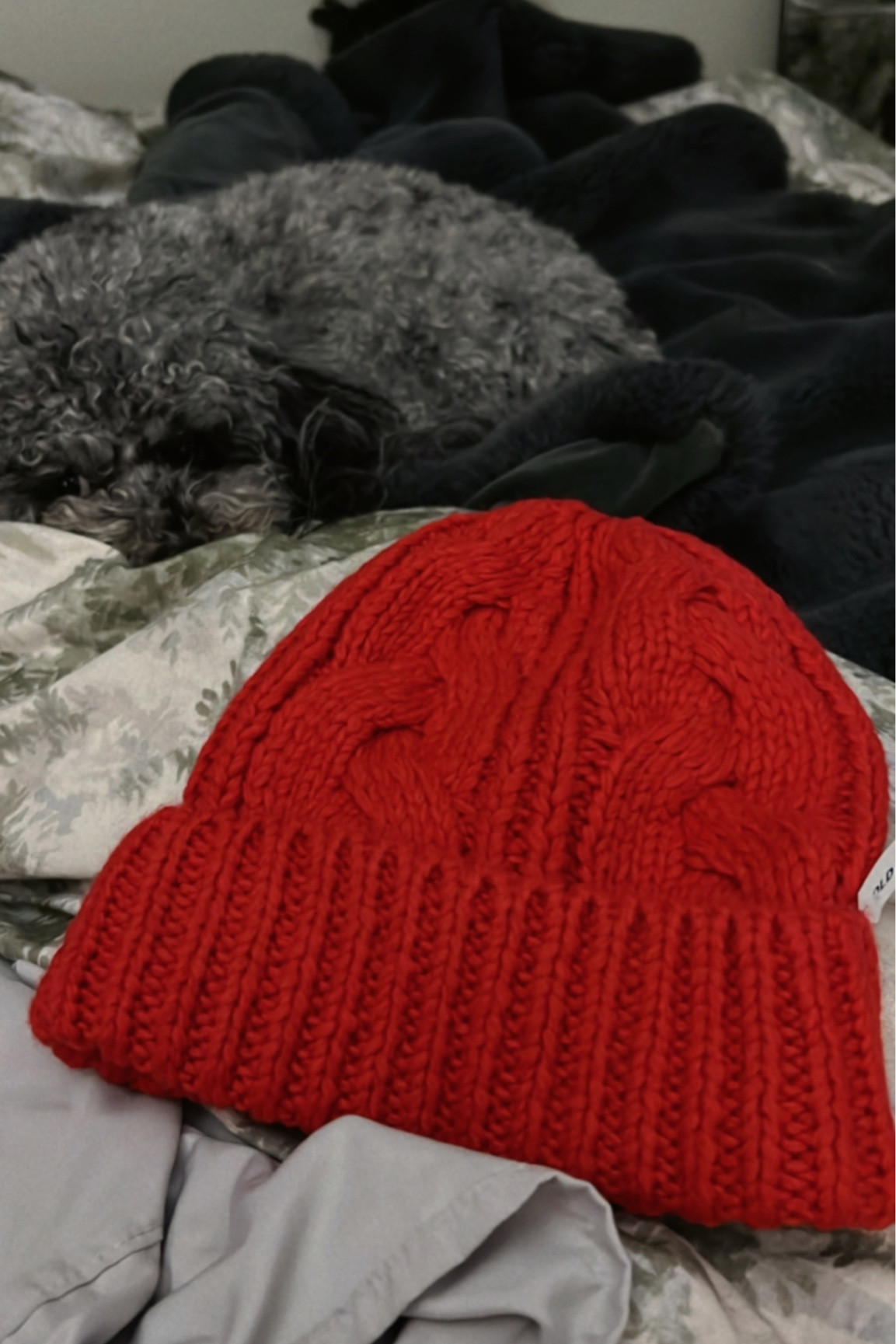 Affordable red beanie that feels so luxe!! Old navy continues to amaze me 🙌🏼 a great gift & its perfect to wear all season long! ❄️🎁 

#LTKfindsunder50 #LTKGiftGuide #LTKSeasonal