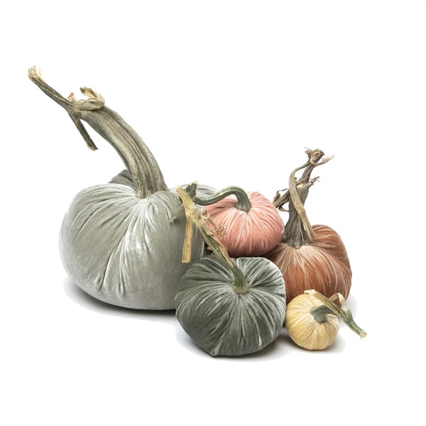 Boho - 065 | Hot Skwash