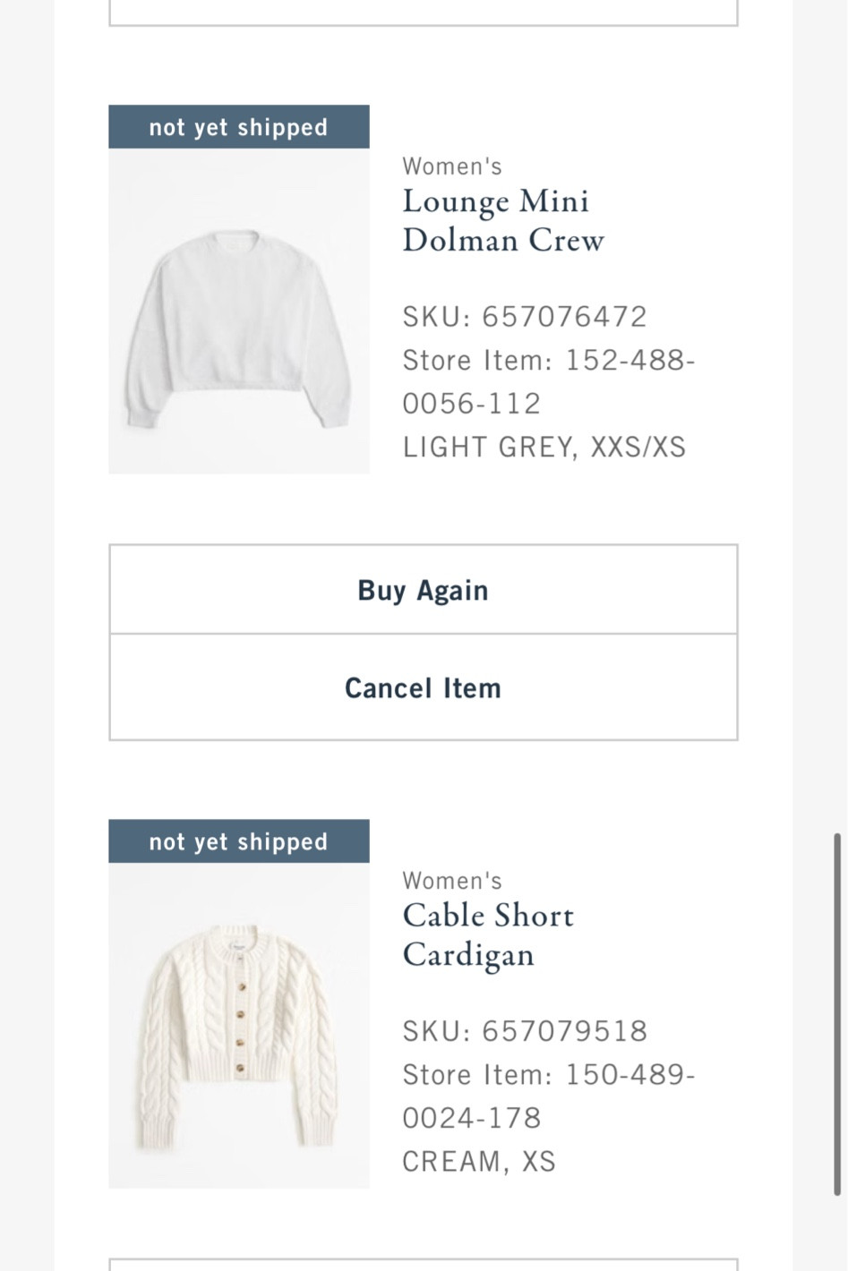 Recent Abercrombie fall winter order