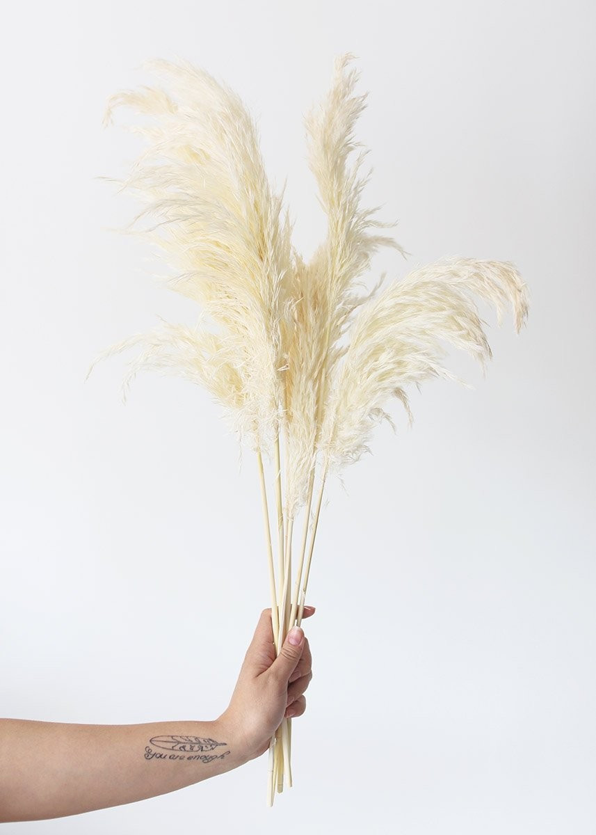 Pack of 6 - Natural Textured Dried Pampas Grass - 20-30" | Afloral (US)