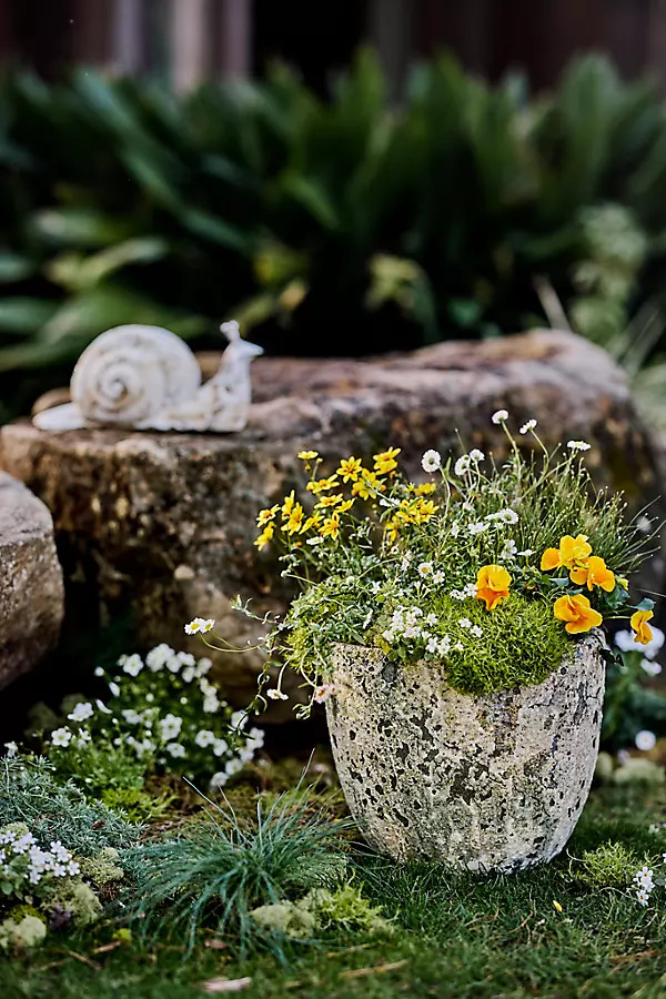 Barnacle Rounded Egg Planter in Brown, Size: 12" at Terrain | Terrain