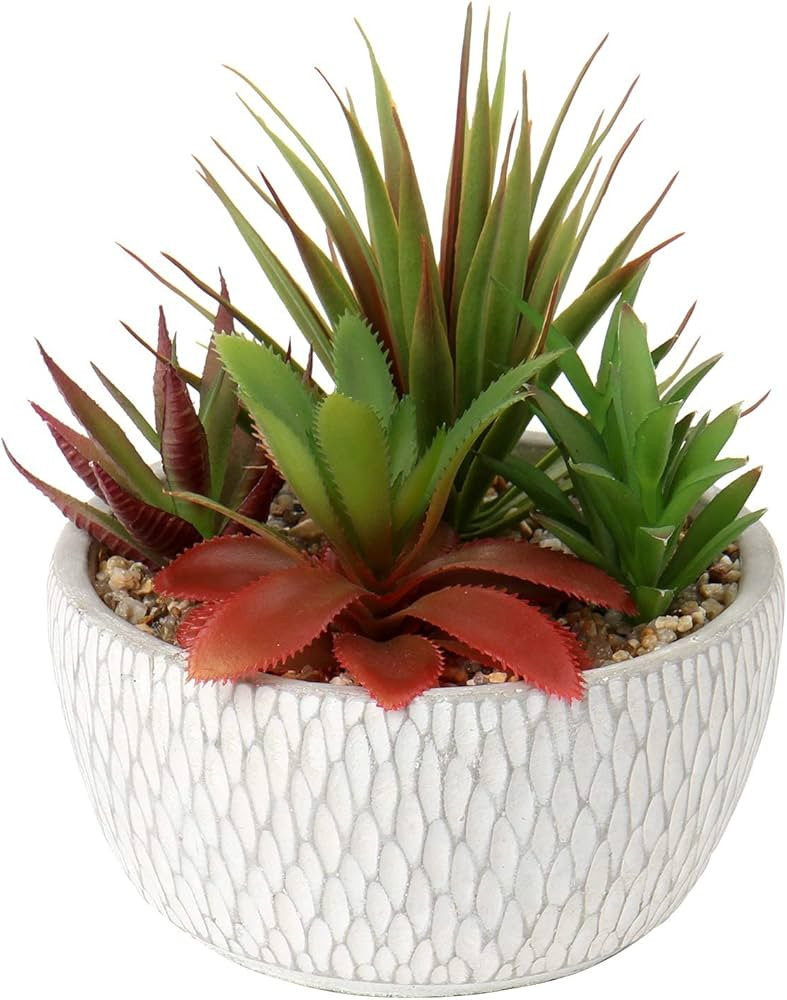 Briful Small Fake Plants Assorted Faux Succulents in Pots Realistic Succulents Plants Artificial ... | Amazon (US)