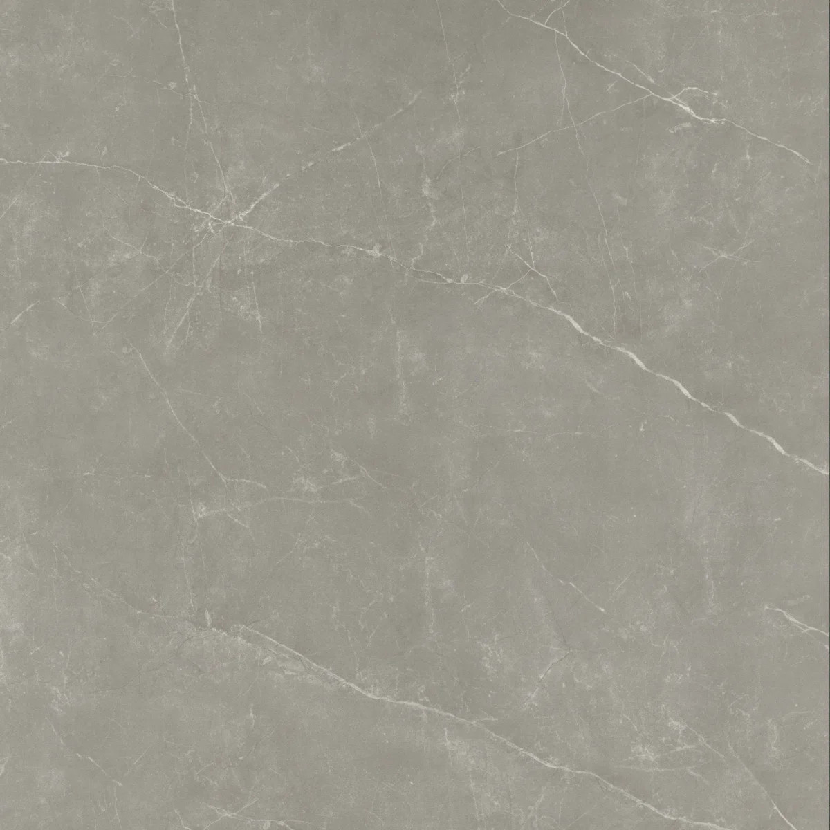 Sterlina II Asphalt 24 in. x 24 in. Matte Porcelain Floor and Wall Tile (15.5 sq. ft./Case) | Wayfair North America