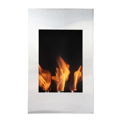 Wall Mounted Bio-Ethanol Fireplace | Wayfair North America