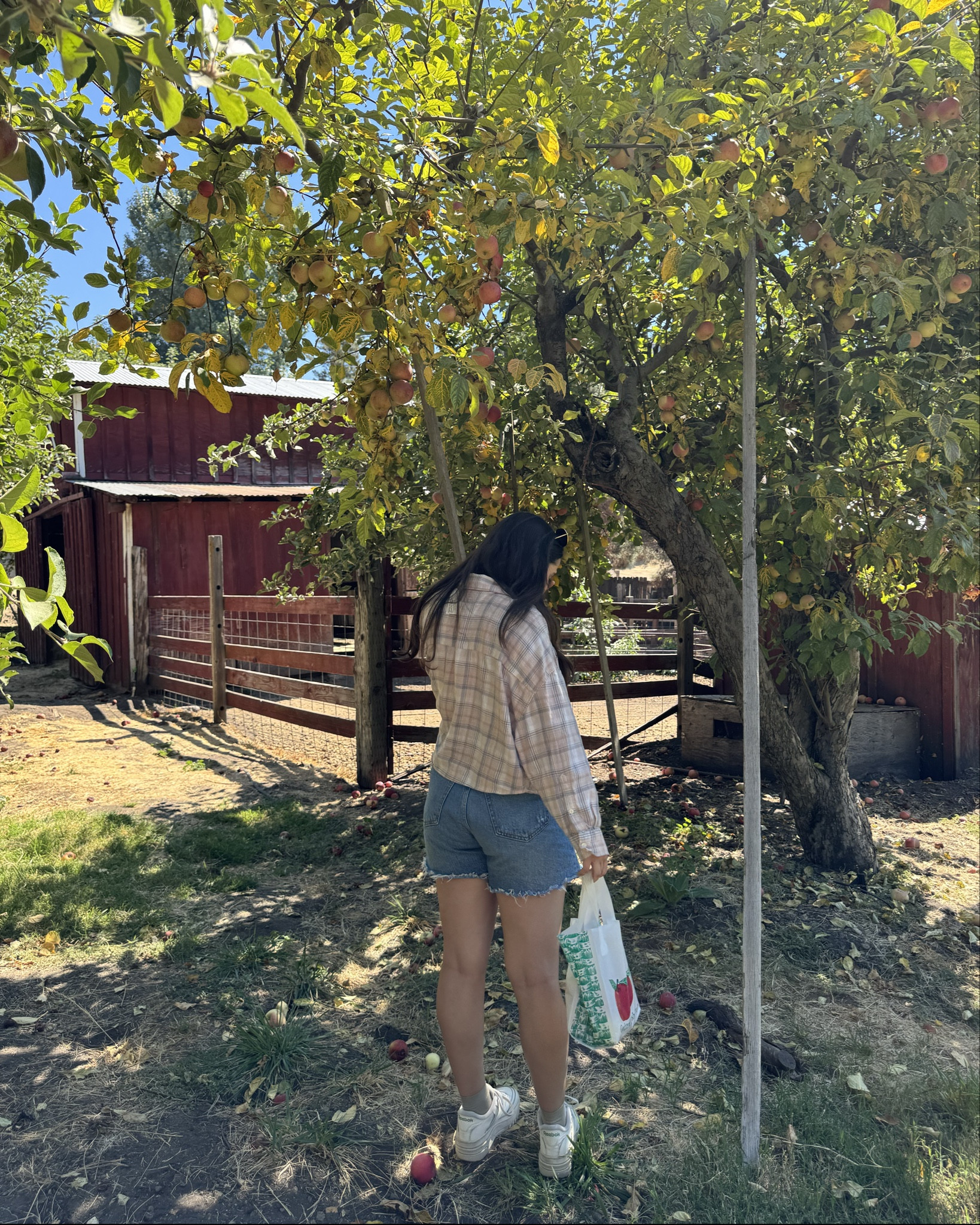 Apple picking outfit inspo 🍎🍂 

#LTKFindsUnder50 #LTKFindsUnder100 #LTKSeasonal