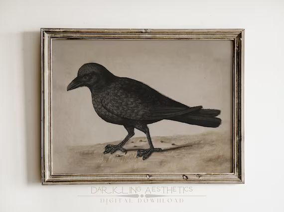 Vintage Victorian Raven Print  Dark Academia Halloween - Etsy | Etsy (US)