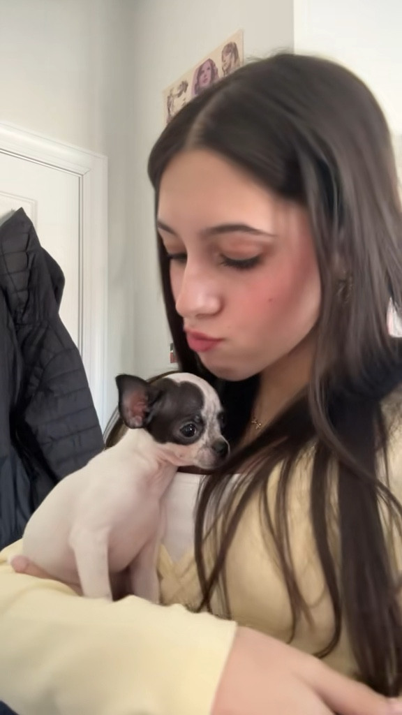 puppy! ⭐️

#LTKgrwm #LTKValentine #LTKootd