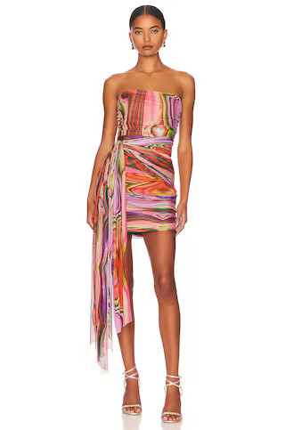 Nala Dress in Multi | Revolve Clothing (Global)