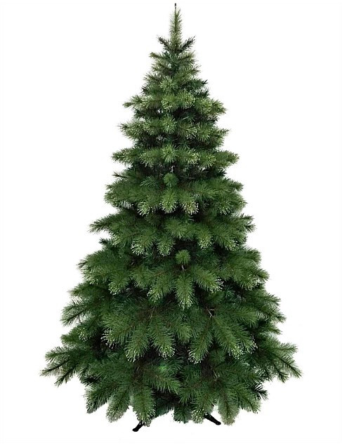 David Jones 210 Cm Callaway Dew Drop Tipped Noble Fir | David Jones | David Jones (Australia & New Zealand)