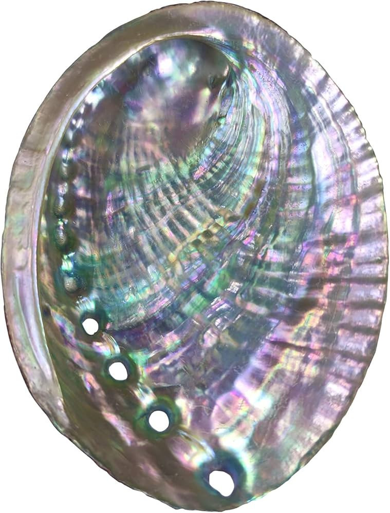 4-4.5 Inch Large Abalone Shell Bowl Natural Bulk Abalone Shell Smudge Bowl Incense Burner for Sag... | Amazon (US)