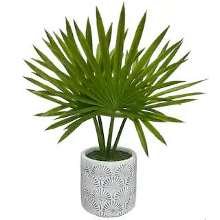 12" Palm Plant in Decorative Pot by Ashland® | Michaels Stores