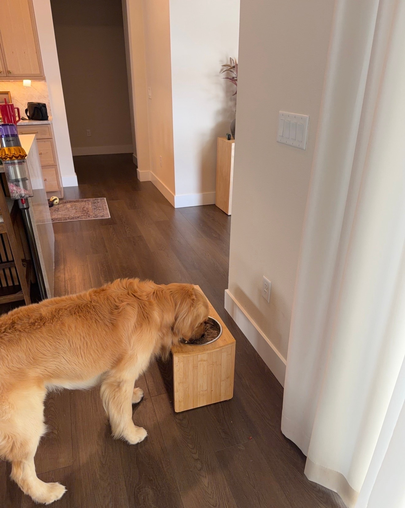 We’re using @thefarmersdog and we’re loving! #thefarmersdog #tfdpartner
Get 60% off your first box!