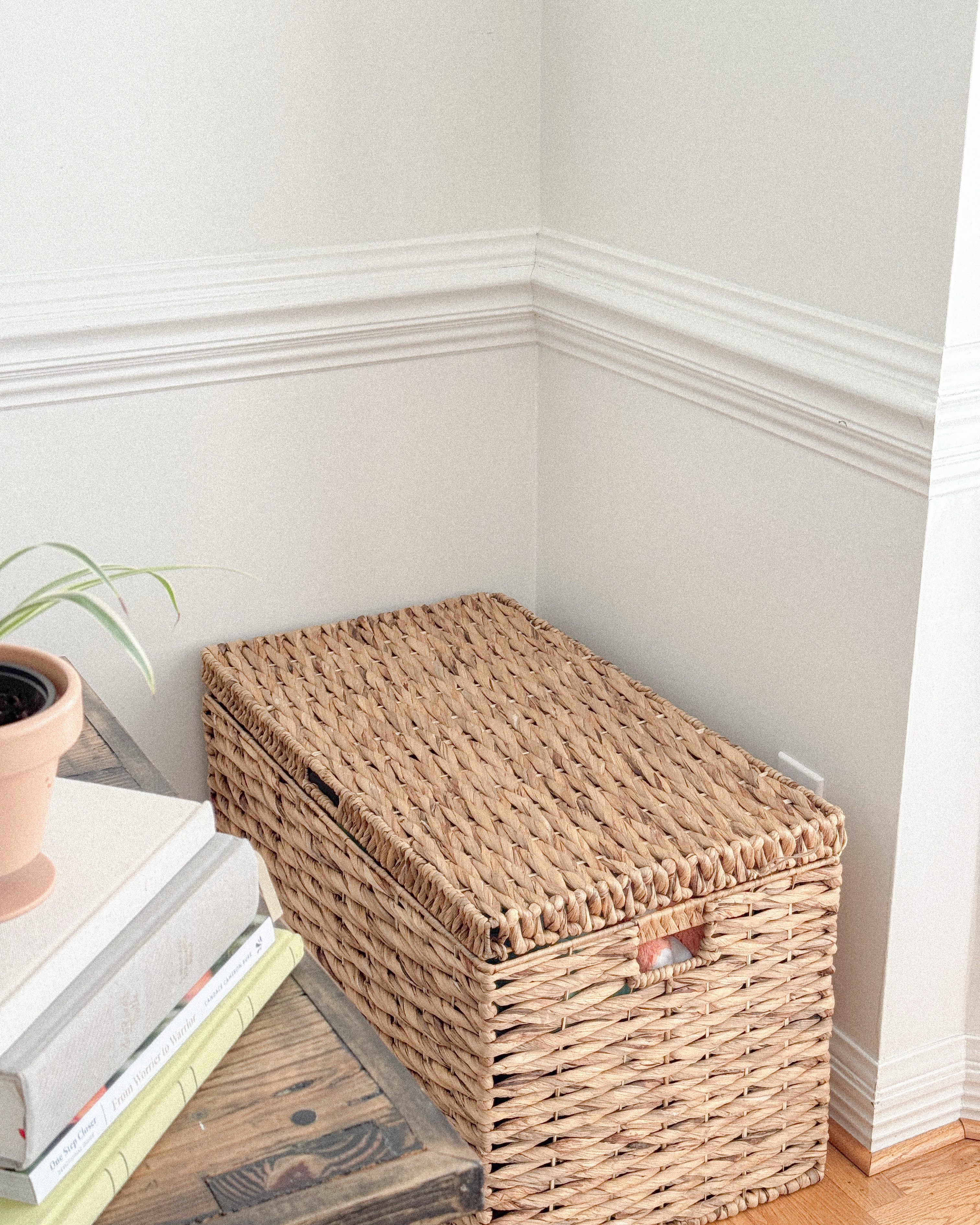 Easy organizing solution for large toys & stuffed animals. I purchased mine from Homegoods, but I’ll link similar baskets from Amazon! #organizewithme #organizedhome #playroomorganization #officeorganization

#LTKHome #LTKWatchNow #LTKFamily