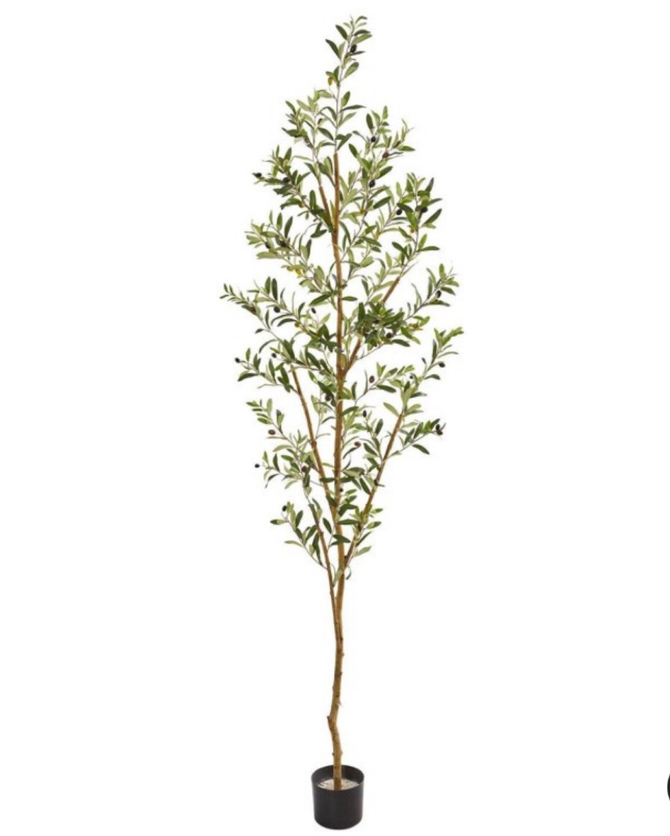 Infamous Olive Tree, on sale for $79.99 at Target  

#LTKxTarget #LTKhome #LTKsalealert