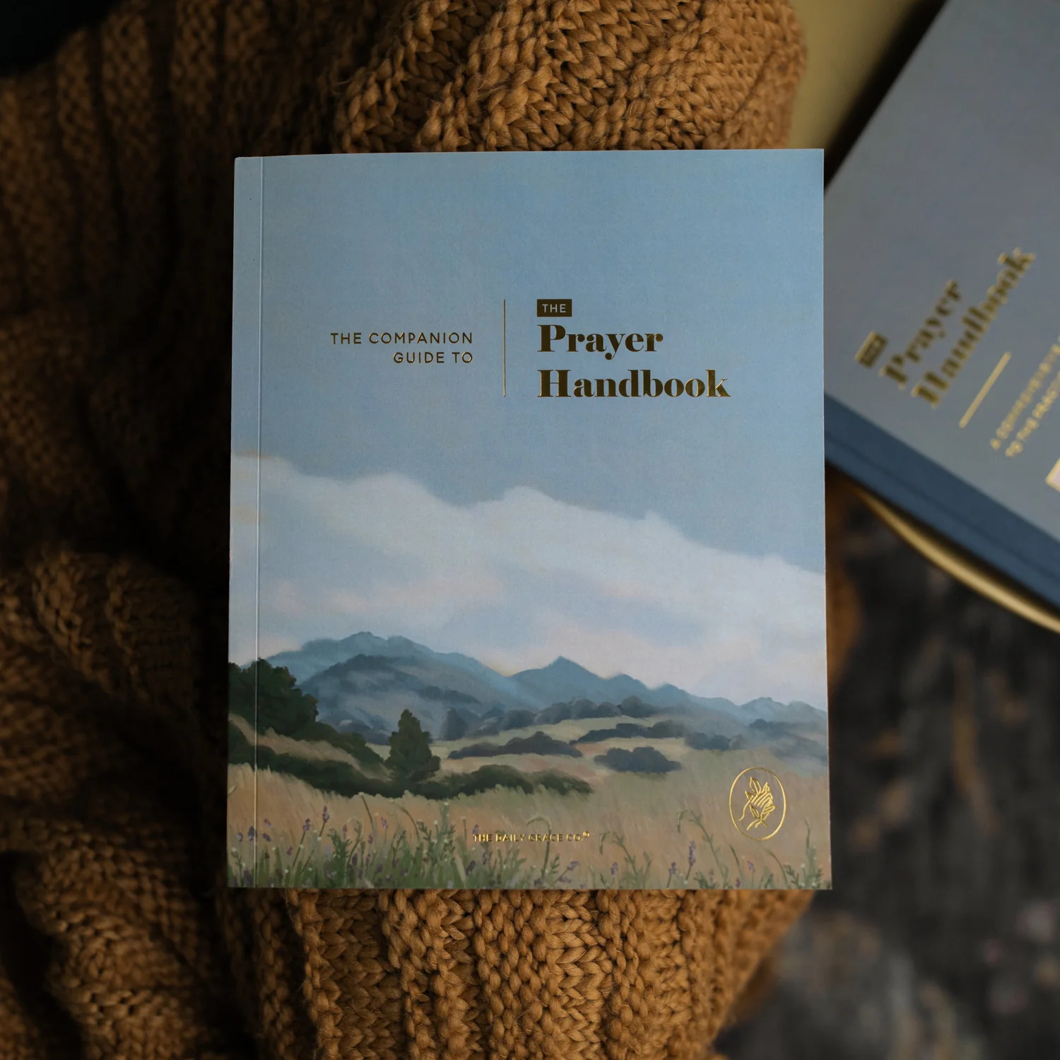 The Companion Guide to The Prayer Handbook | The Daily Grace Co.