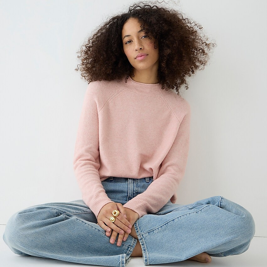 Rollneck sweater in Supersoft yarn | J. Crew US