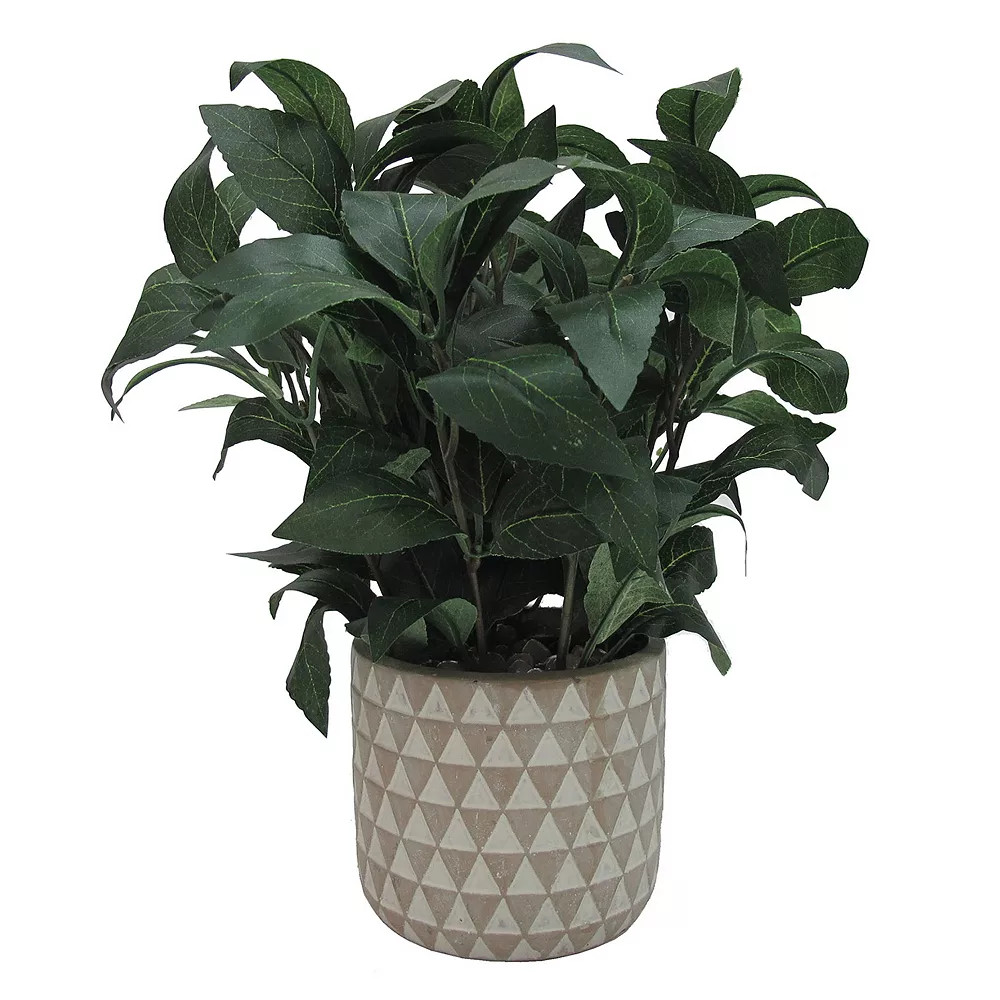 SONOMA Goods for Life® Olive Leaf Artificial Plant | Kohl's